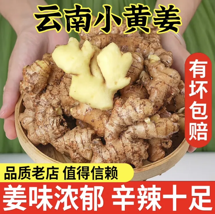 【精品老姜】云南小黄姜香味浓郁辛辣够味现挖山地种植生姜产地直销