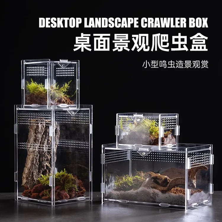 爬虫亚克力爬宠箱小型饲养盒蜘蛛蜥蜴蝎甲虫造景饲养箱高透观赏盒