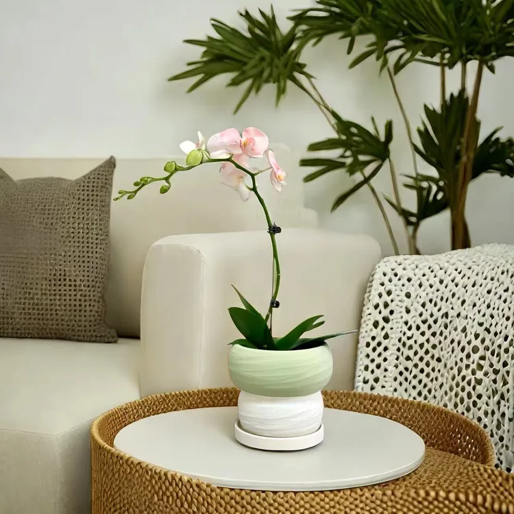 水泥花盆可爱北欧托盘ins简约哑光莫兰迪现代透气兰花绿植专用