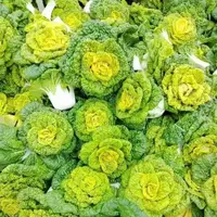 【满5包/包邮】黄心乌菜黄心菜新鲜乌塌菜四季可种秋冬季蔬菜