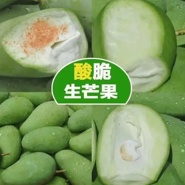 酸芒果生吃酸脆青芒可生吃小青芒果四季芒新鲜水果腌制送辣椒盐