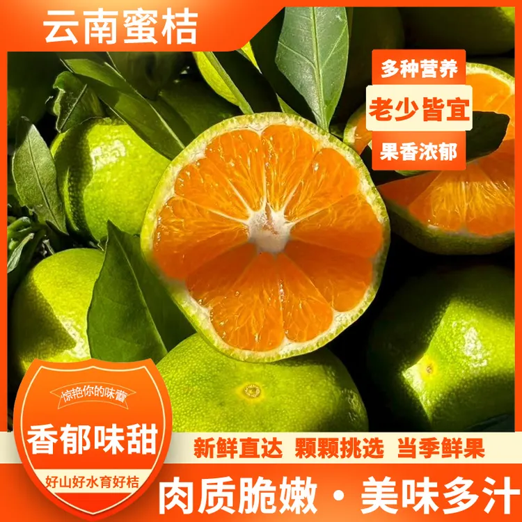 【现摘现发】云南蜜橘，果园直供，果农直销，包邮到家!