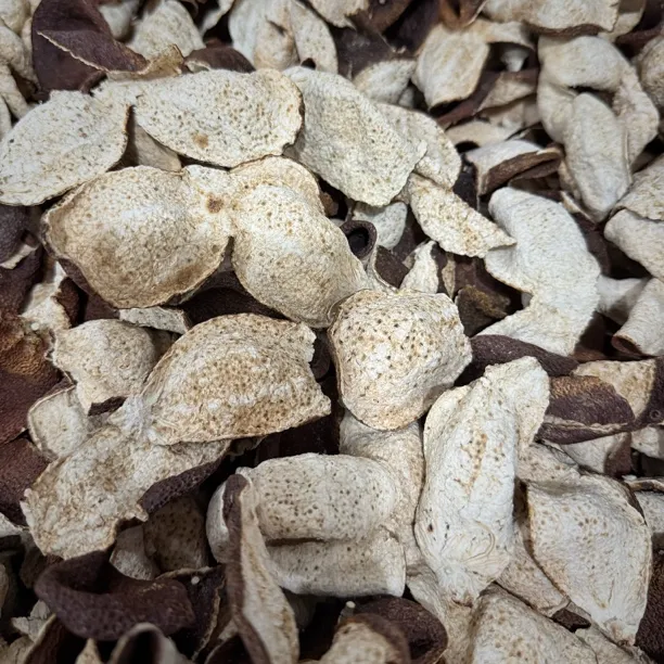 【糯香泉水甜】2020圭峰山原枝大红皮新会陈皮