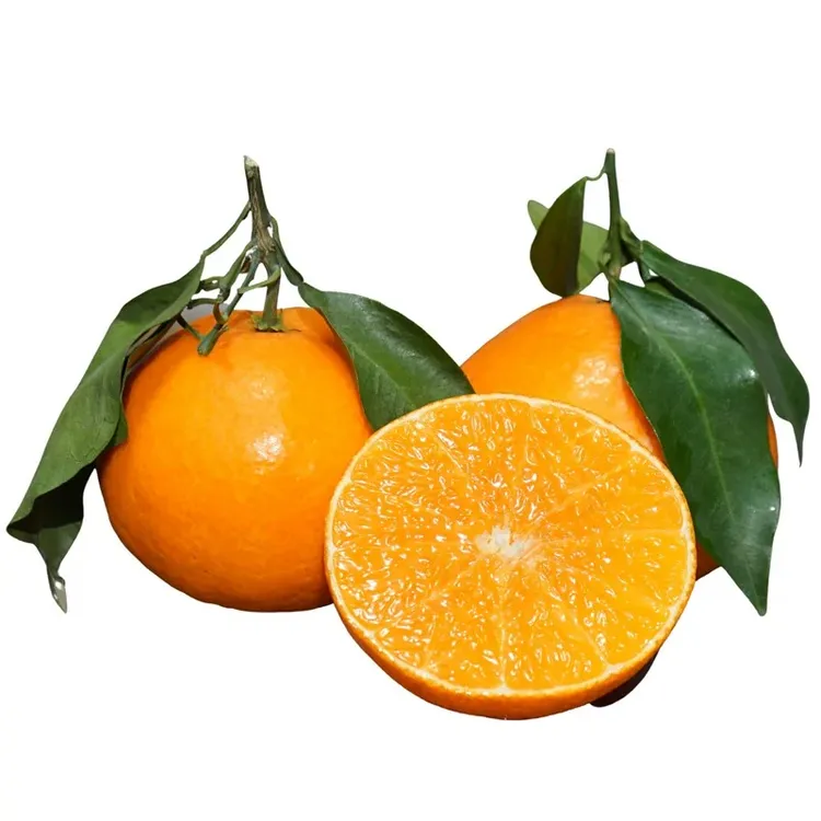 三宝爸甄选爱媛果冻橙新鲜橙子8斤装（顺丰包邮）