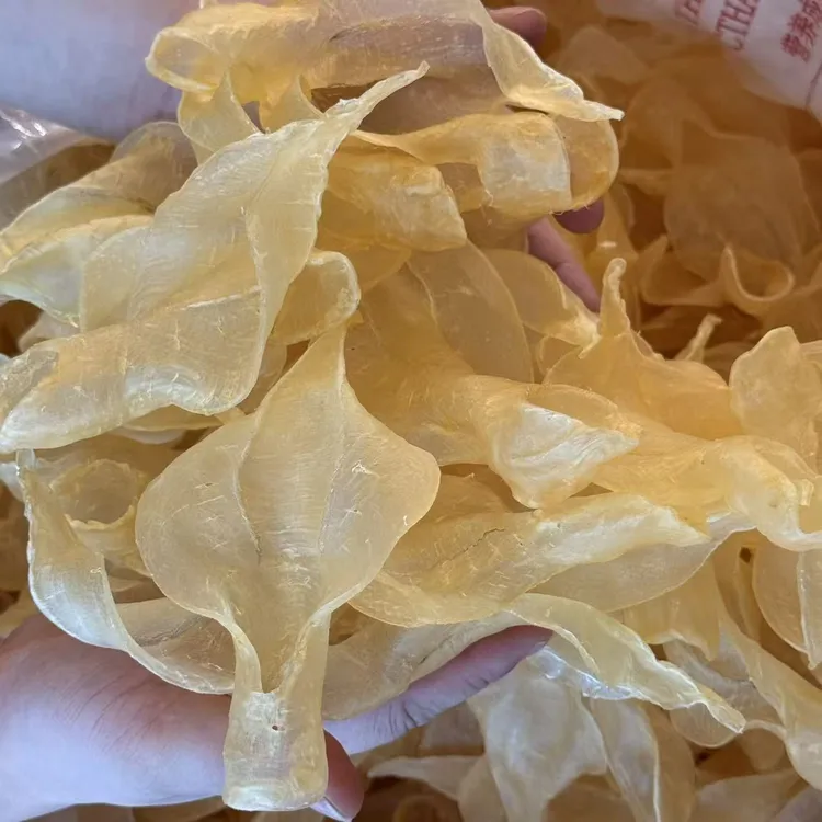 仙女白花胶干货孕妇月子滋补鱼肚鱼泡鱼鳔鱼胶白花胶500克约38头