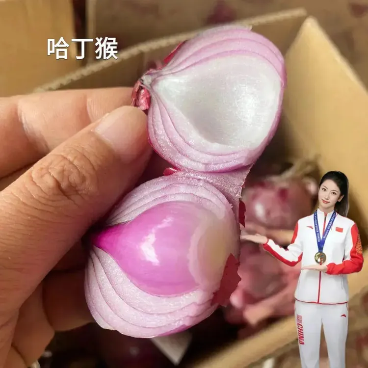 哈丁猴紫红色小洋葱好吃不贵经济实惠可以生吃凉拌洋葱产地直销