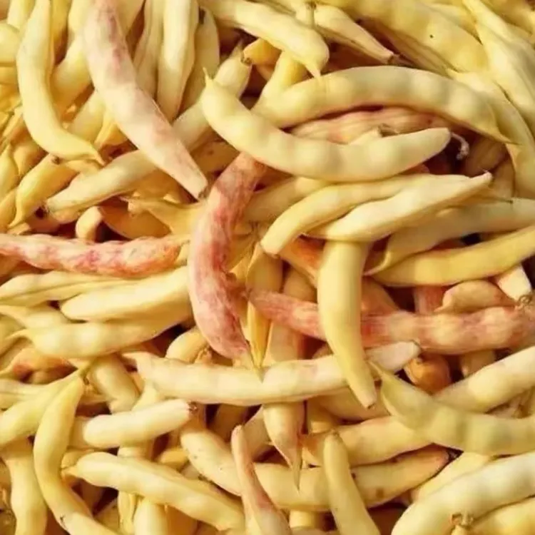 东北黄豆角(顺丰快递)