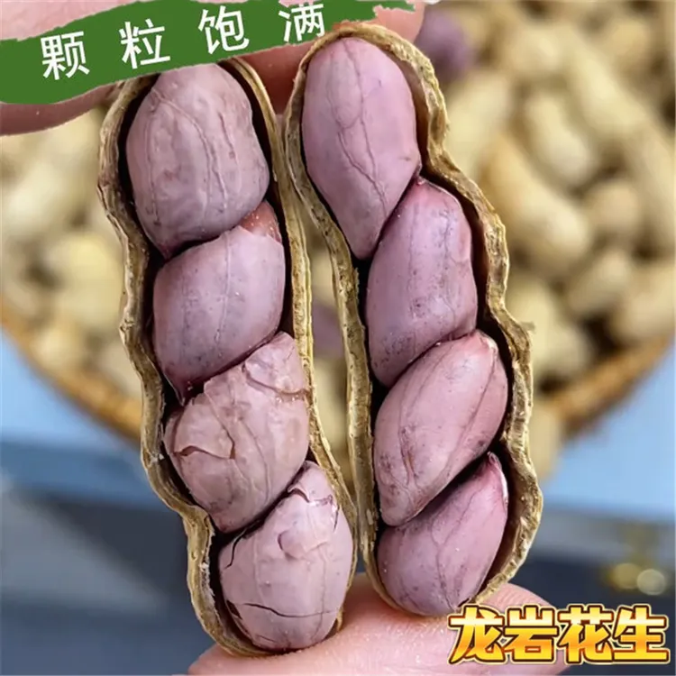 【红皮更营养】正宗龙岩湿烤红衣花生水煮带壳咸香酥脆下酒零食特产
