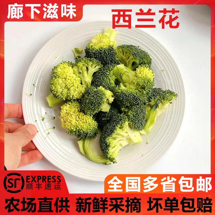 廊下滋味西兰花500g小朵西兰花朵青花绿花菜西蓝花椰菜农家菜