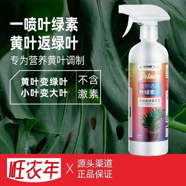 叶绿素免稀释直喷营养液绿植花卉多肉通用型懒人花肥料防治黄叶肥