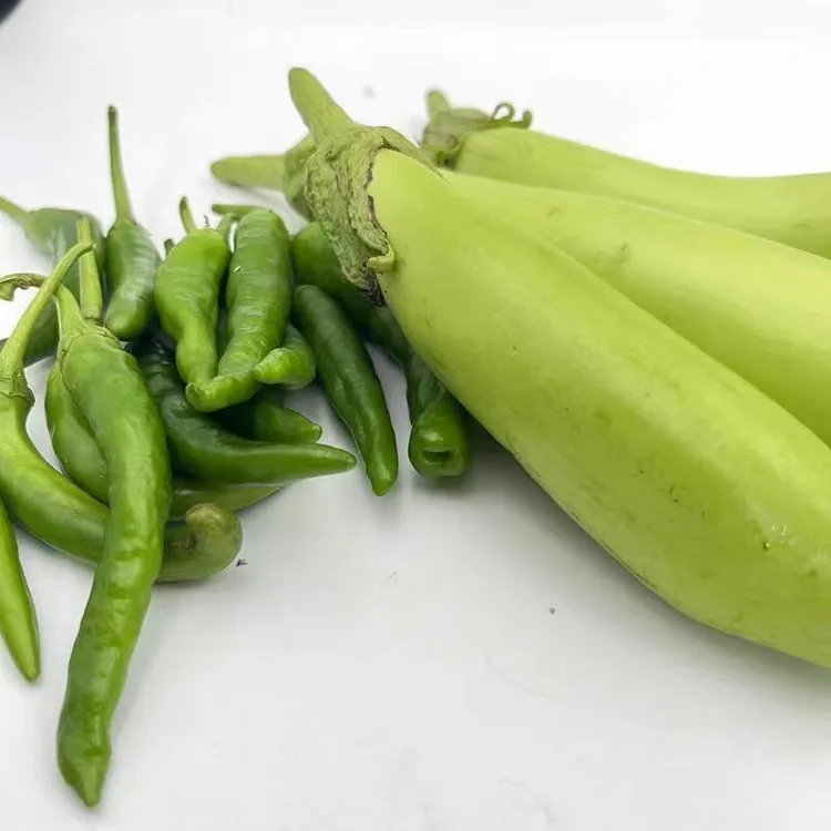 江西原生态农家种植青长茄现摘现发青茄子绿色健康当季新鲜发货