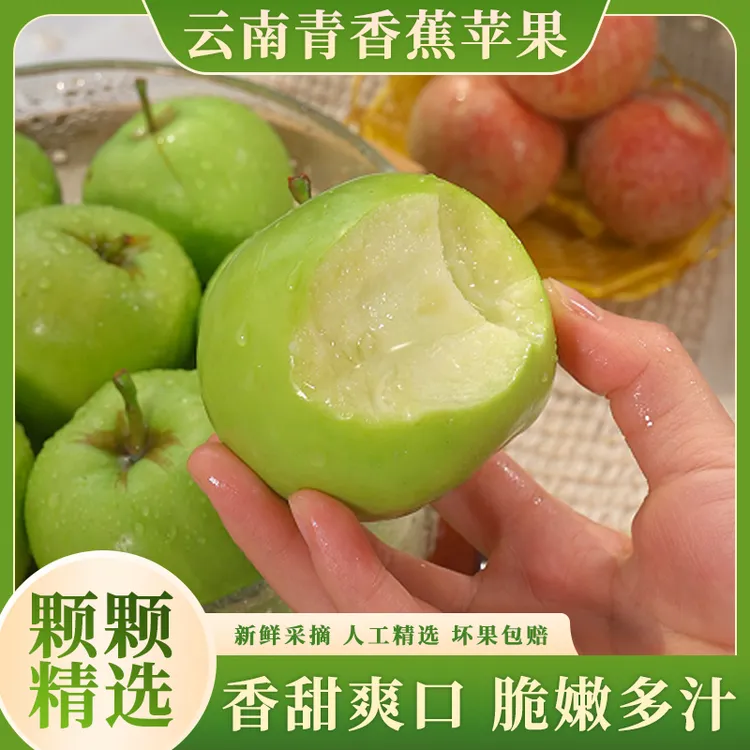 云南青香蕉苹果新鲜应季小苹果青苹果脆甜多汁现摘现发精选5斤装