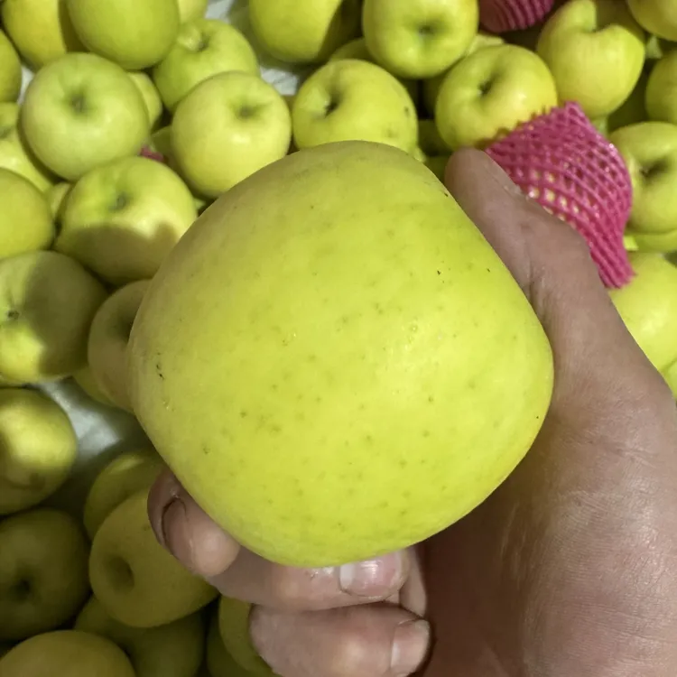 2025青森明月水蜜桃瑞雪苹果正宗栖霞苹果脆甜爽口产地直发大果