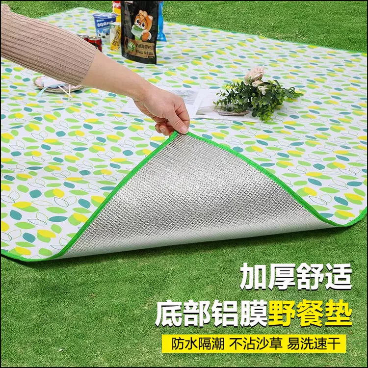 野餐垫户外防潮垫防水加厚便携徒步沙滩垫便携露营野炊草坪地垫子