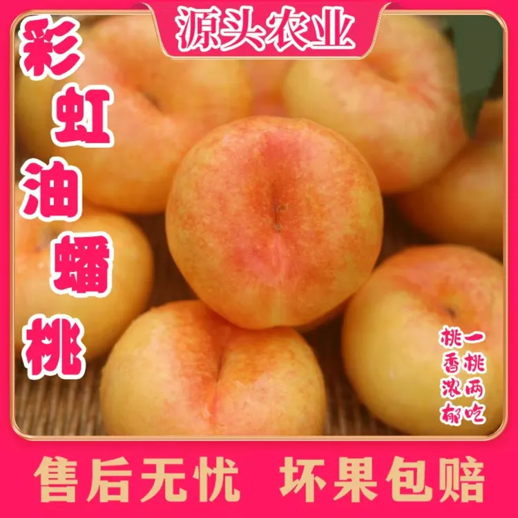 【彩虹油蟠桃】山东应季新鲜油蟠桃香甜多汁4斤装 S