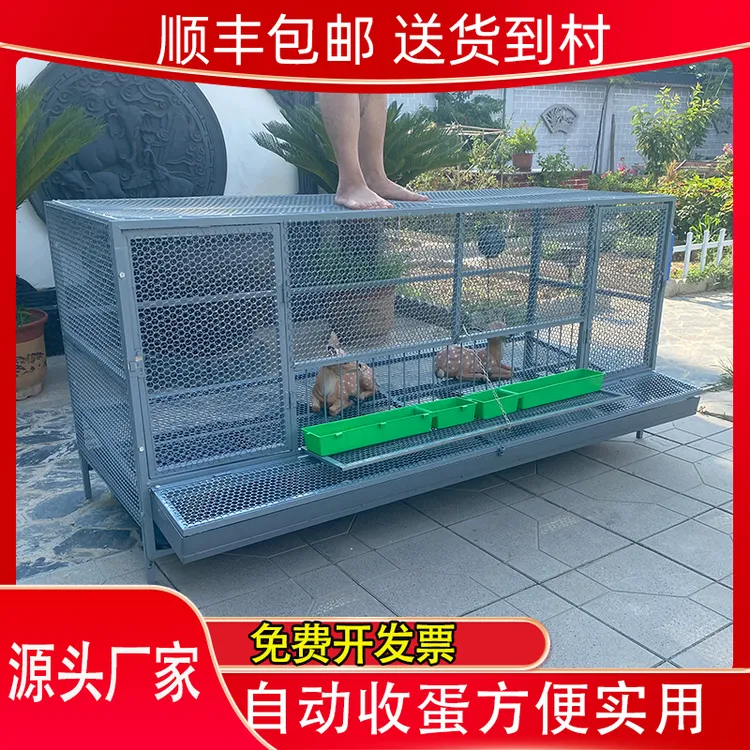 河北自动滚蛋笼防腐防锈