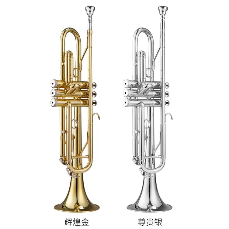 艾森利小号乐器降b调专业学生成人初学者考级演奏西洋三音小号