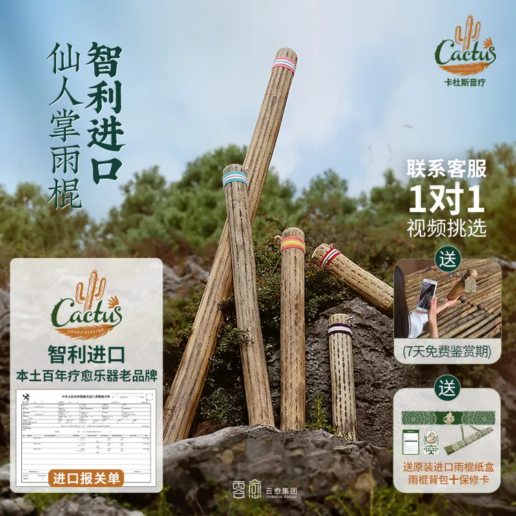 云愈仙人掌雨棍雨声棒智利进口海浪拟声音解压音疗冥想小众乐器