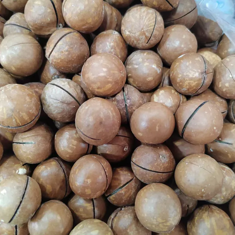 夏威夷果坚果2025年新货大颗粒奶油味原味干果整箱休闲零食年货