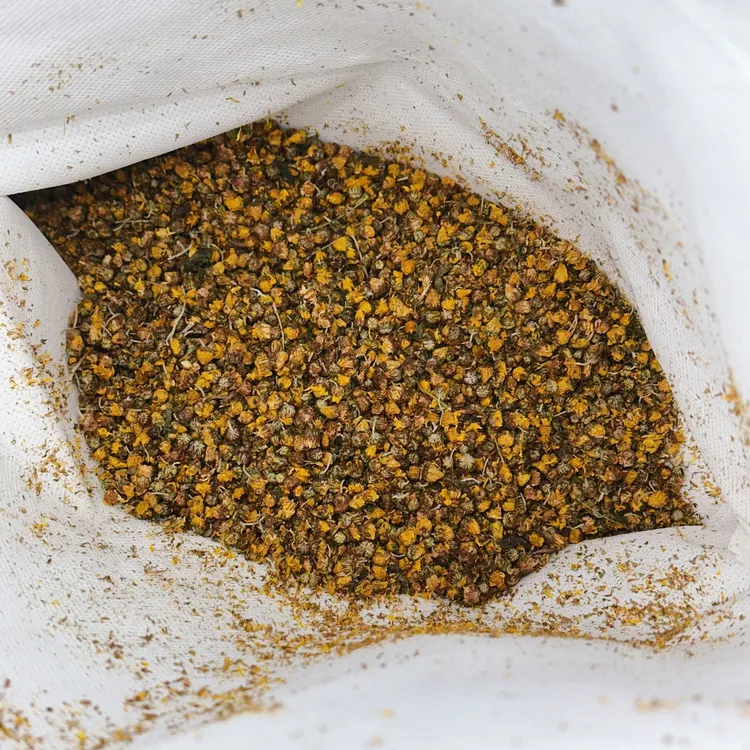 高山野菊花手工自采自然晾晒无硫新货成人学生单人枕头枕芯填充物