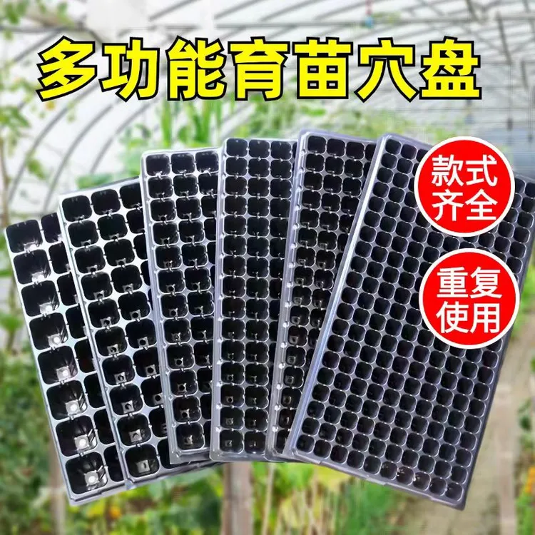 塑料苗盘加厚托盘种植多肉草莓蔬菜西瓜扦插育苗农业家用阳台庭院