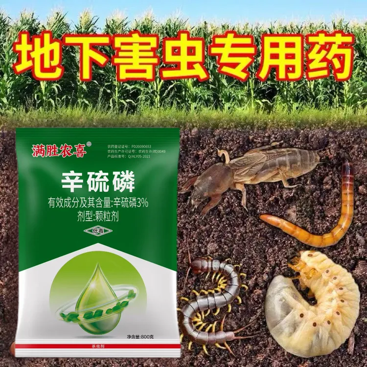 辛硫磷颗粒杀虫剂蛴螬地老虎土蚕金针玉米螟地下害虫土壤杀虫药