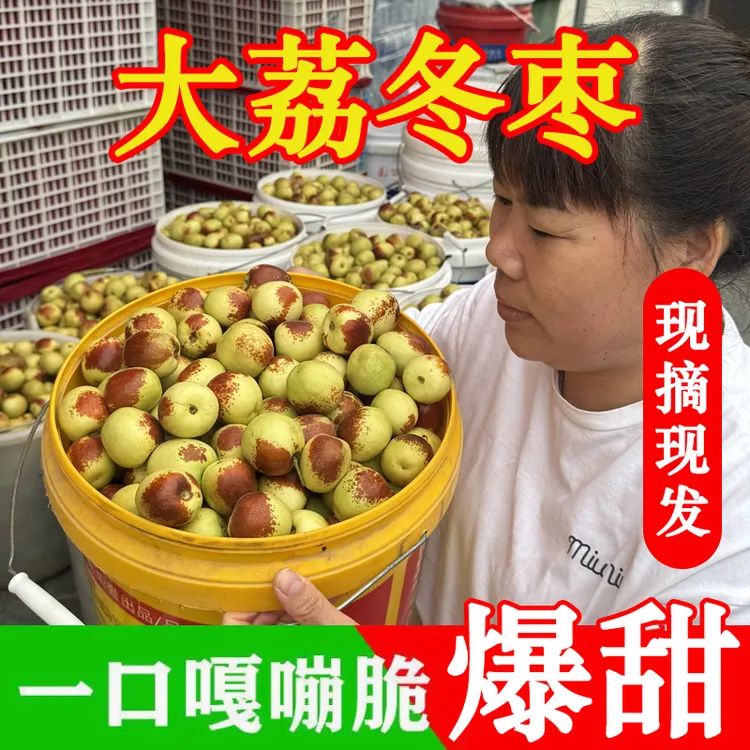 正宗陕西大荔冬枣新鲜大枣特大脆甜冬枣新鲜水果现摘现发整箱包邮
