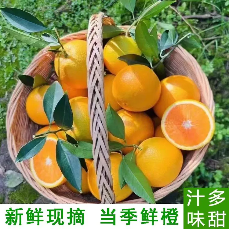 【带枝叶】正宗湖北巴东早熟脐橙纽荷尔赣南脐橙10/5/3斤新鲜子包邮