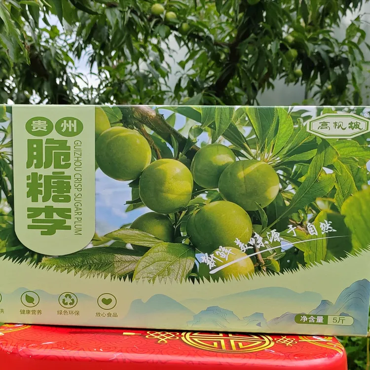 贵州高枧坡脆糖李普通大果5斤包邮