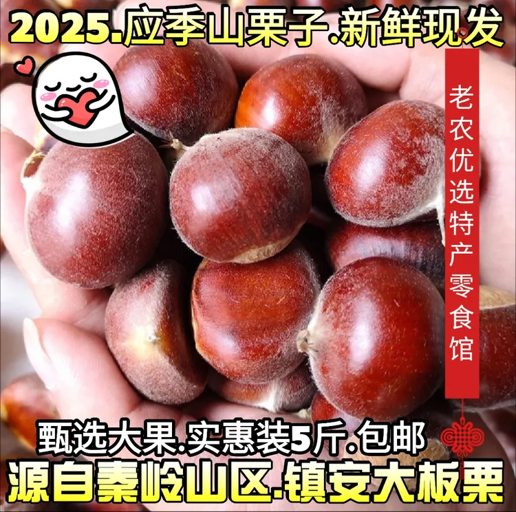 镇安大板栗陕南特产新鲜板栗现发香甜软糯老树板栗毛栗子5斤包邮