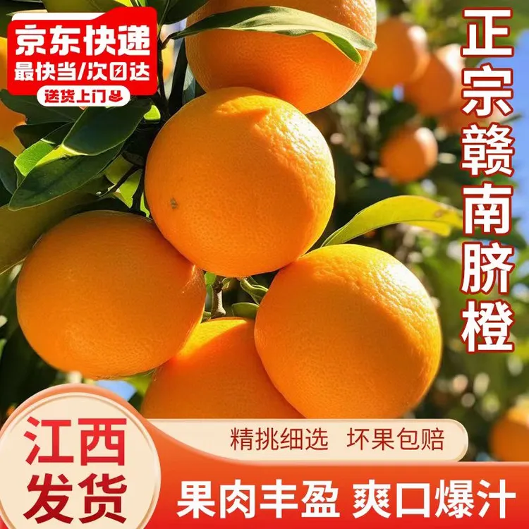 正宗赣南脐橙江西赣州橙子新鲜现摘应季水果孕妇宝宝橙香甜多汁