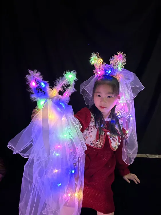 2025年爆款街卖批发花环纱艾莎公主兔儿纱批发零售