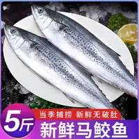 【无冰衣】渤海湾新鲜马鲛鱼燕鲅鱼5斤装顺丰京东包邮