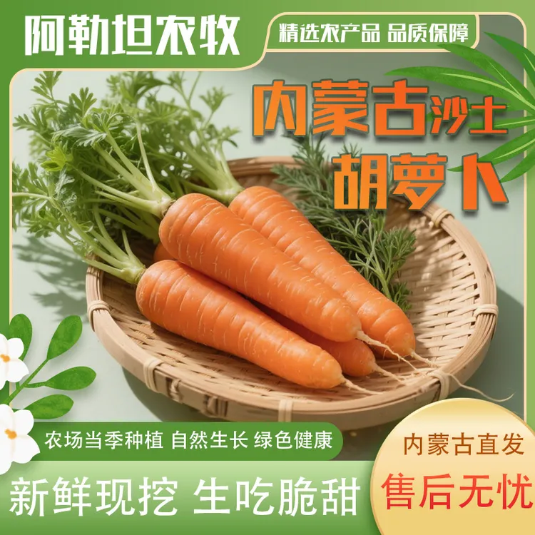 【暴雨助农】内蒙古新鲜现挖沙地胡萝卜生吃脆甜可作蔬菜辅食代餐