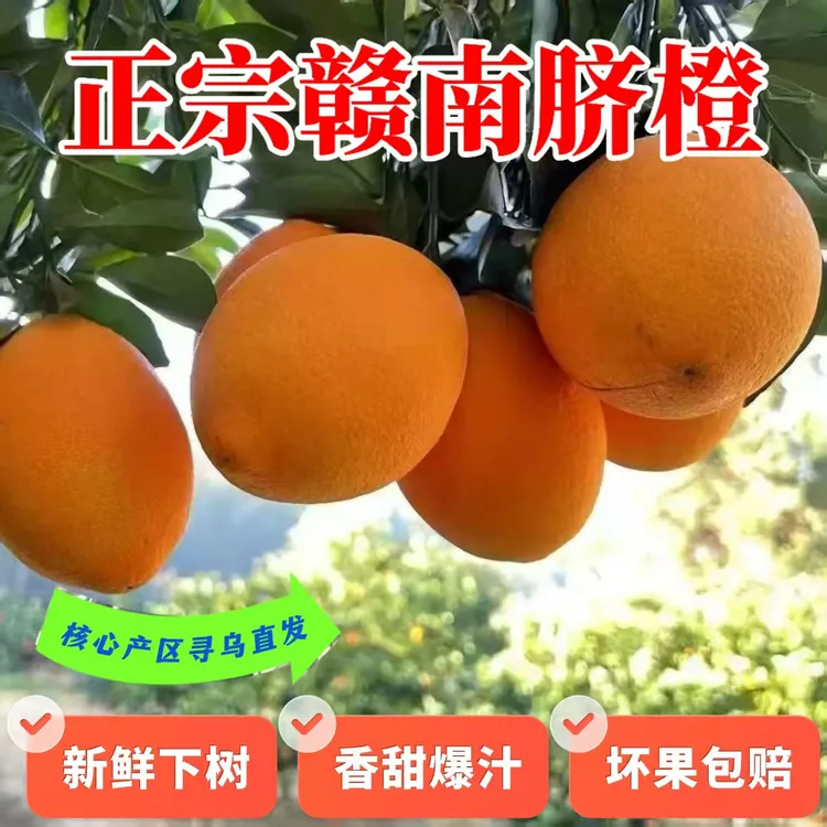 赣南脐橙精选大果正宗原产地新鲜现摘应季水果香鲜甜爆汁寻乌脐橙