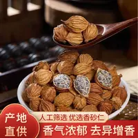 香砂仁 川砂仁 砂仁川砂仁金砂仁烧菜卤肉料炖肉去腥