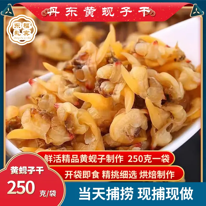 丹东特产黄蚬子干黄蚬子肉蛤蜊肉肥蛤肉