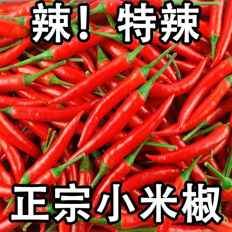 正宗小米辣椒新鲜红辣椒朝天椒农家种植小米椒特辣尖椒指天椒直发
