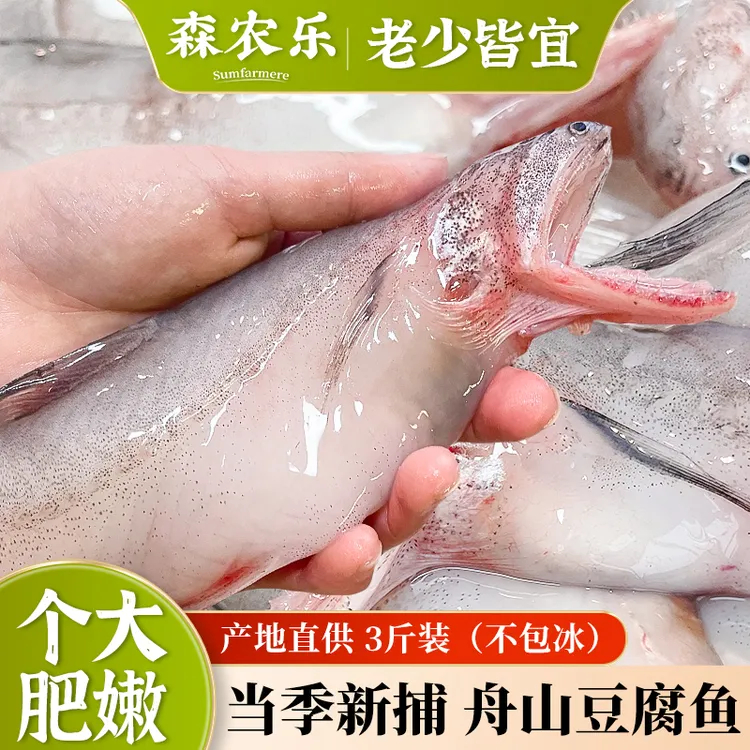 豆腐鱼舟山特产龙头鱼新鲜海鲜鲜活冷冻水产九肚鱼生鲜水潺3斤装