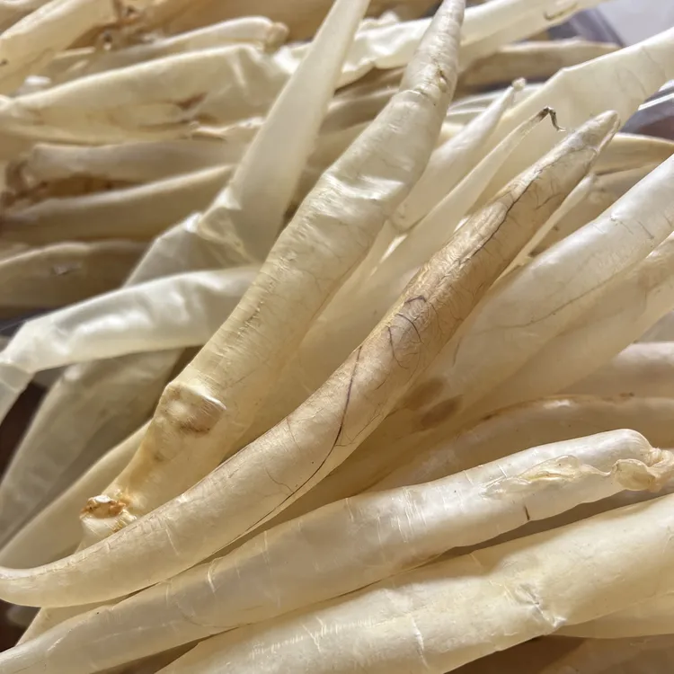 野生小鳗鱼胶花胶干货深海厚肉孕妇月子滋补煲汤天然鳝肚胶250克