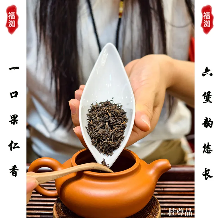 2018年梧州六堡茶果仁香黑茶正品500g顺丰包邮