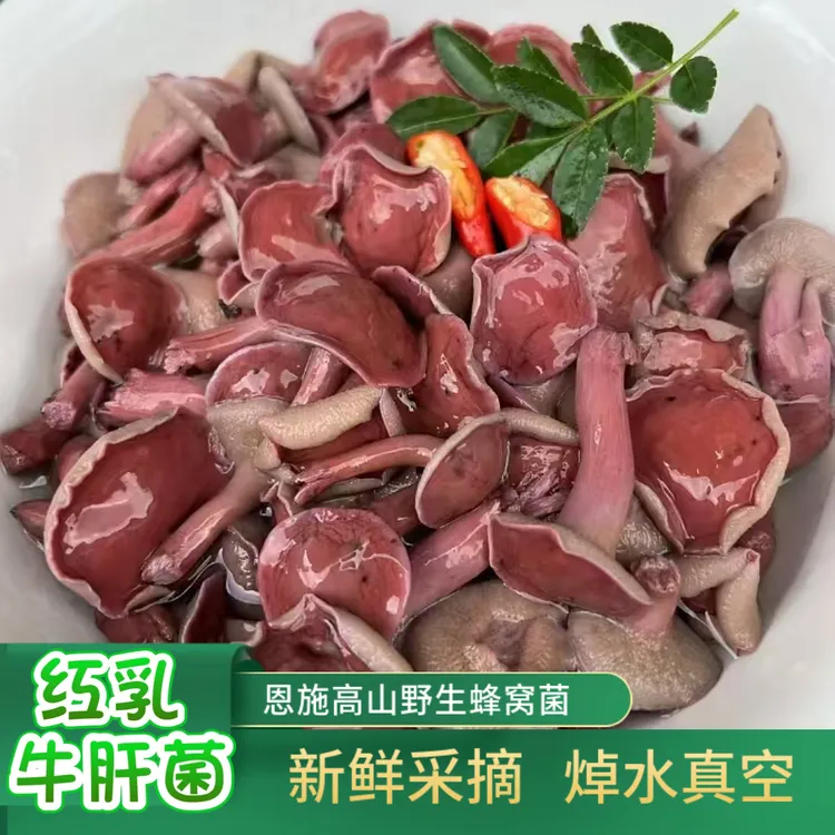 新鲜野生蜂窝菌牛肝菌红乳菌焯水真空1斤1包新鲜发货当季采摘野菜