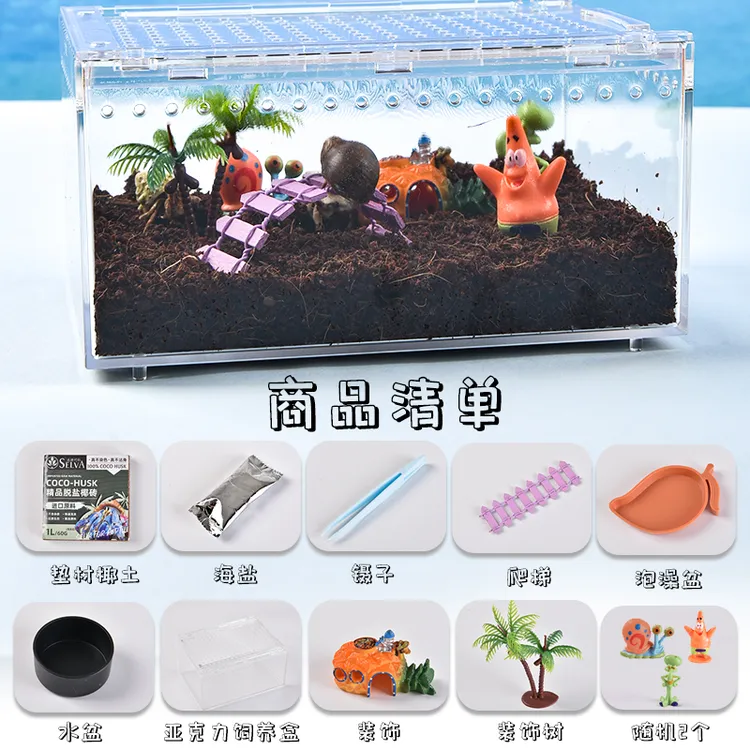 寄居蟹新手饲养套盒到家就能养