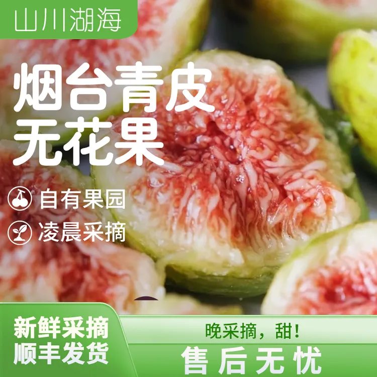山东烟台青皮无花果新鲜应季软糯香甜现摘现发顺丰京东