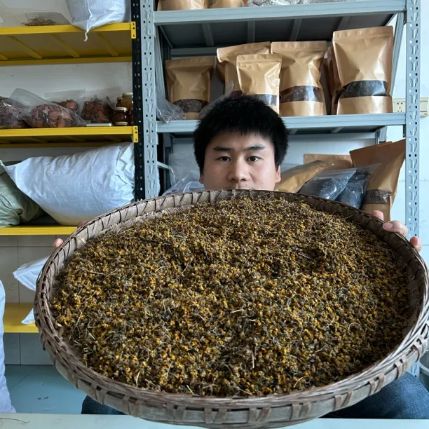 四川野生小菊花茶 野菊花茶2025年新货