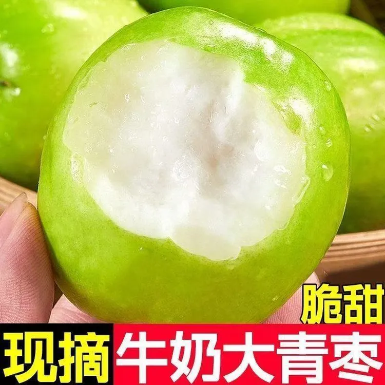 云南牛奶大青枣新鲜当季水果脆甜现摘贵妃枣产地直发孕妇水果