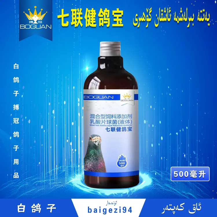 白鸽子健鸽七联健鸽宝（小）yatta birlax ma kiqiki 【新疆包邮】