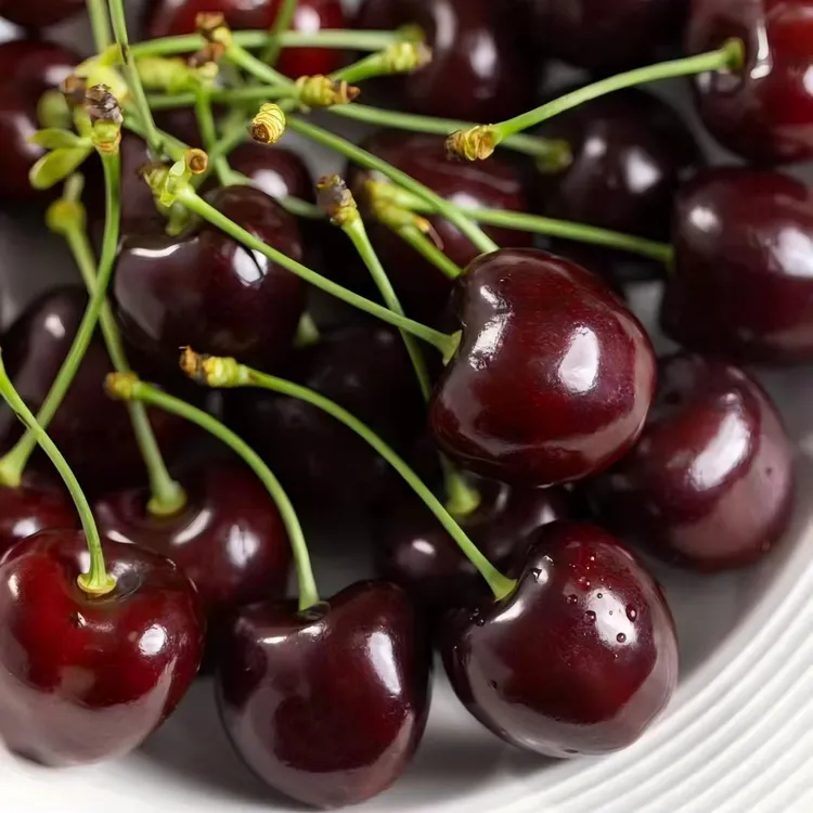 智利海运科迪亚kordia车厘子，2-4J，原装五斤原箱礼盒，内附果径卡