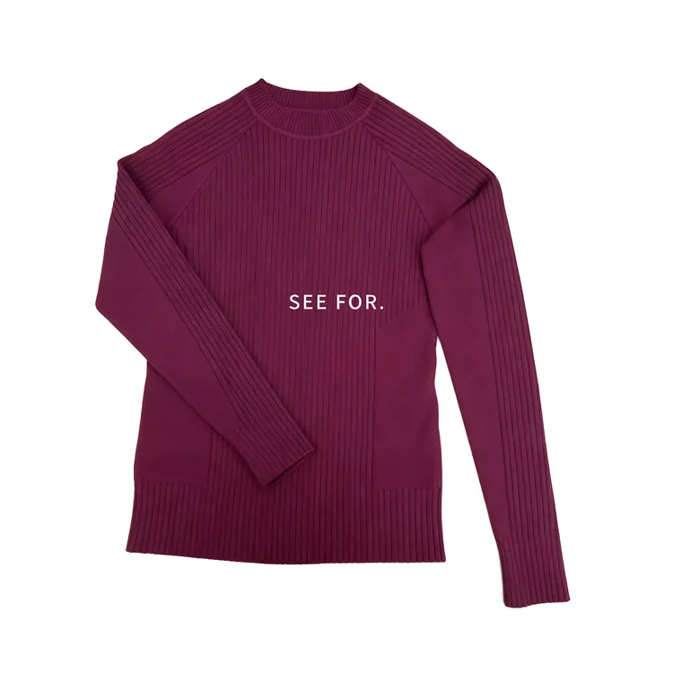 SEE FOR 流体线型 西梅紫肌理插肩袖毛衣男秋冬季修身打底针织衫