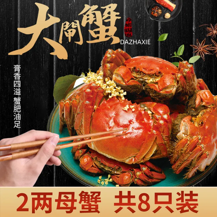 乔乔专属【活蟹 多规格】莘森大闸蟹 2.5两母蟹8只装 鲜活发货 死蟹包赔
